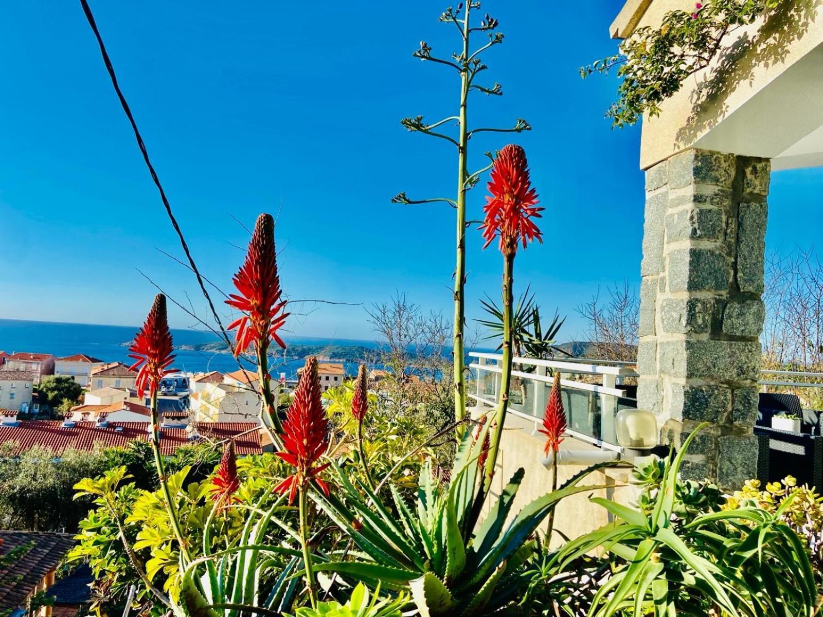 Villa Montalbo Vue Mer De 2 A 10 Personnes Каржез Экстерьер фото